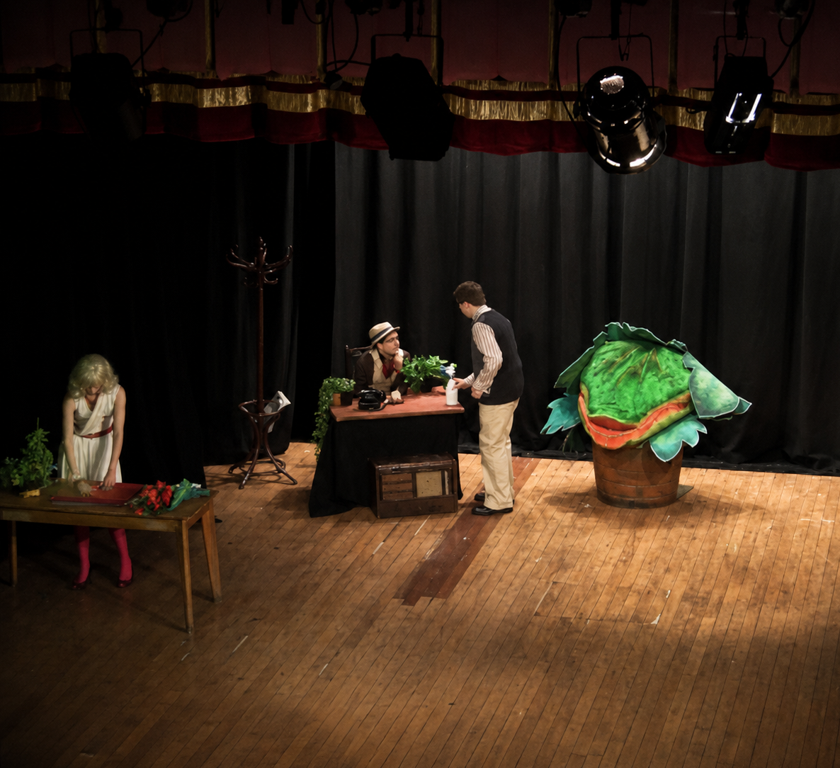 Little Shop Of Horrors